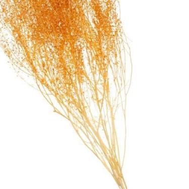 Imagem de Buque de Flores Secas Sementinha Verde - Pense Flores, Laranja