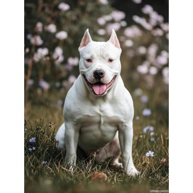 Imagem de Kit DIY de pintura de diamante branco Staffordshire Bull Terrier Diamond Art 5D contas redondas completas por número mosaico artes e artesanato feito à mão para parede de casa decoração de sala de