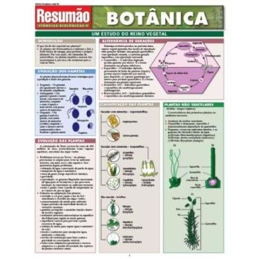 Imagem de Resumao botanica - bafisa