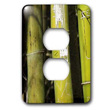 Imagem de 3dRose Capa de tomada para 2 plugues Bamboo Art da lsp_7711_6", multicolorido