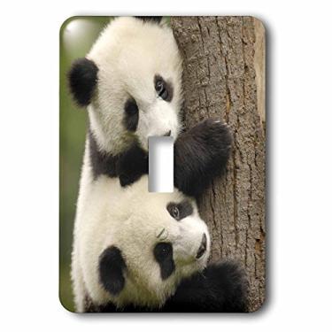 Imagem de 3dRose LLC lsp_70216_1 Ursos panda gigantes, Wolong China Conservation, China-As07 Pox0412m Pete Oxford Interruptor único