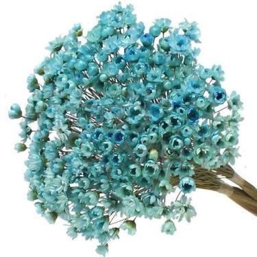 Imagem de 600 Sempre Viva Florzinha Azul I Flores Desidratadas - Tem Flores