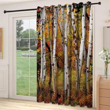 Imagem de Divisória de parede para sala de outono, bétula branca, folhas de outono, crescimento, natureza, ecologia calma, serena, impressão, para quarto, jardim de infância, sala de estar, L250 x C272 cm,