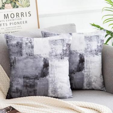 Imagem de Miuyunya Capas de almofada para decoração de casa moderna, preto, branco, 40,6 x 40,6 cm, conjunto de 2 capas de almofada de veludo cinza prateado com pintura a óleo para sofá, quarto, carro, sala de
