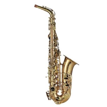 Imagem de Instrumento de saxofone para amantes de música E Flat Alto Saxofone Instrumento Iniciante Teste de Desempenho Profissional com Acessórios