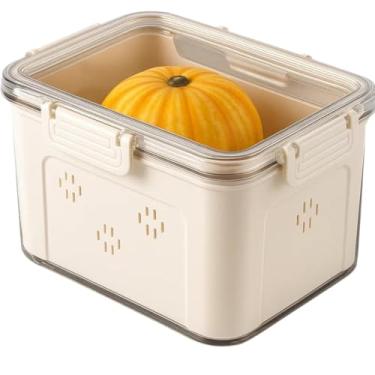 Imagem de Cesto Organizador com Tampa para Geladeira, Plástico Transparente/Branco, 23,5x16,5x14cm, com Divisória, 570g