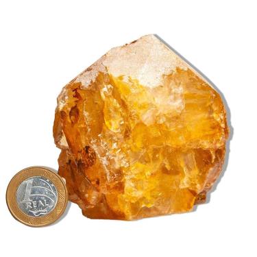 Imagem de 01 Hematoide Amarelo Pé e Bico Serrado 22 a 26cm 5 a 6kg  Tipo B