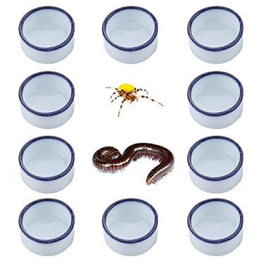 Imagem de 10 peças de micro tigela de água de aranha mini prato de cerâmica para minúsculos répteis aranha milipédia tarântula (tamanho pequeno: 2,2 cm D, 1,1 cm A)