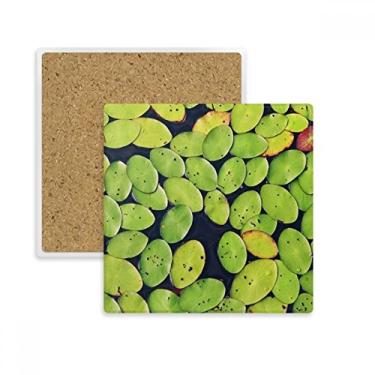Imagem de Porta-copos quadrado de folhas frescas para plantas, água, natureza, porta-copos, suporte de subplaca, pedra isolante