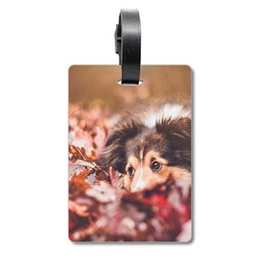 Imagem de Bolsa de viagem com foto de folha de animal de estimação, etiqueta para cartão de bagagem
