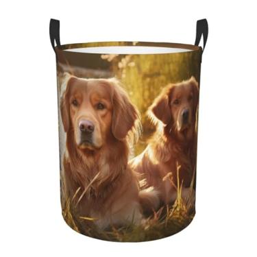 Imagem de Cesto de roupa suja dobrável à prova d'água dois Golden Retrievers cesto de armazenamento de roupas com alças pano Oxford organizador de brinquedos cesta para banheiro, lavanderia, quarto, médio