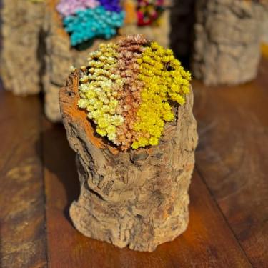 Imagem de Tronco Decorativo Rústico com Flores Sempre Vivas, 25 cm, Casca Natural, Arranjo Artesanal para Decoração (TRONCO-10)