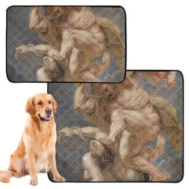 Imagem de TSENQUE Almofadas de xixi para cães Rubens Hercules Heroic Virtue Discord Tapete reutilizável para animais de estimação Tapete de gaiola de cachorro fofo à prova d'água absorvente para filhotes
