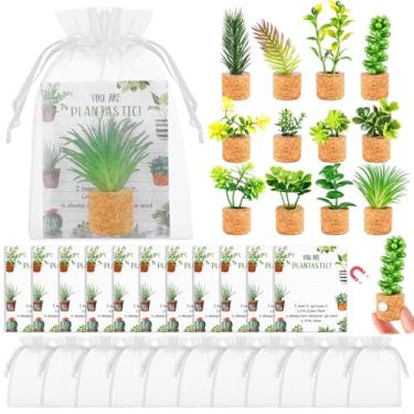 Imagem de Janinka 12 Sets Employee Appreciation Gifts Bulk Coworkers Thank You Gifts Thanksgiving Mini Plant Fridge Magnets Inspirational Cards Organza Bags Gift for Staff Teacher Medical Assistant