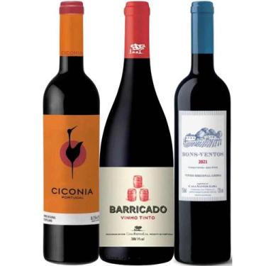 Imagem de Kit 3 Garrafas Vinhos Tintos de Portugal 750ml - Casa Relvas, Casa San