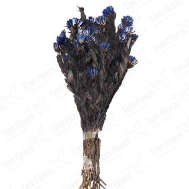 Imagem de Arapurama Azul Vitória Desidratado Buque Flores Secas - Tem Flores