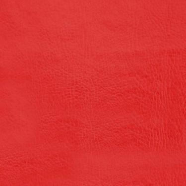 Imagem de Módulo Rampa Ondulada 60 x 60 x 30cm