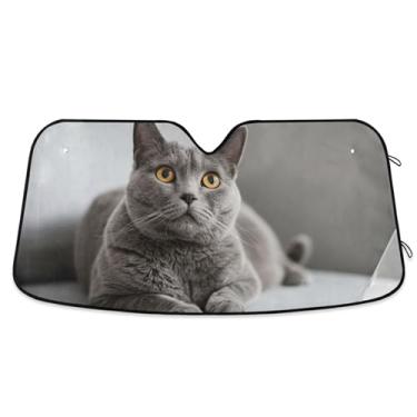 Imagem de Guarda-sol de gato cinza fofo personalizado para para-brisa de carro engraçado retrátil dobrável caminhão carro persianas para janelas dianteiras automotivo M, 139.7 cm x 70.1 cm