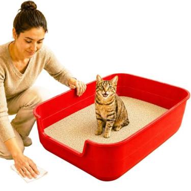 Imagem de Bandeja Gato Higienica Jumbox Areia Caixa 62X50cm Gigante - - PET IN, 