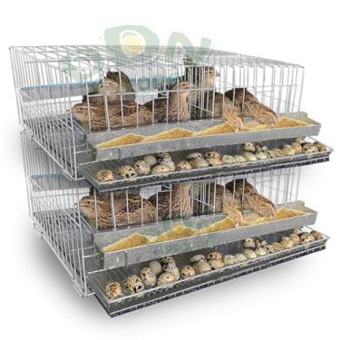 Imagem de Kit 2 Gaiola Codorna Poedeira Viveiro Japonesa Bateria Até 20 Aves