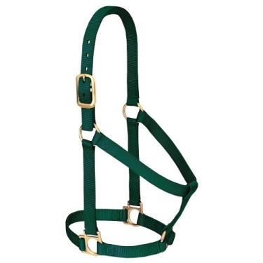 Imagem de Weaver Leather Cabresto de cavalo de nylon básico não ajustável, verde caçador, cavalo pequeno de 2,54 cm