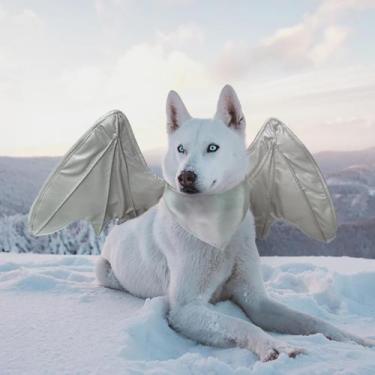 Imagem de Fantasia de cachorro Onmygogo Funny Bat Dragon Wing Halloween Silver L