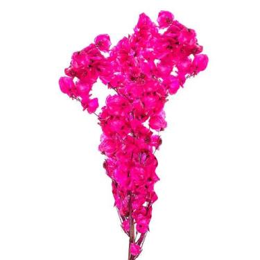 Imagem de Kit de 3 bougainville Pink - Flores Desidratadas sd - Pense Flores