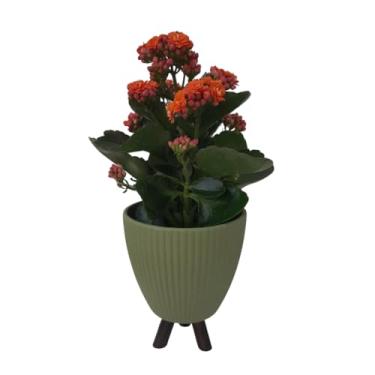 Imagem de Vaso Cachepot Cerâmica Decorativo Pés em Madeira (05 Verde)