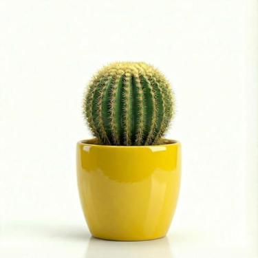 Imagem de Genérico Vaso Redondo Decorativo para Uso Interno, Tamanho M, Azul, Cimento, Texturizado com Relevo, Formato Redondo, Vaso de Chão, Recipiente para Plantas, 11x12x10 cm