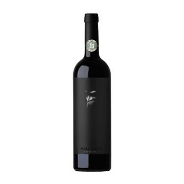 Imagem de Vinho Argentino Alma Negra Blend 2021 (Ernesto Catena) 750 Ml