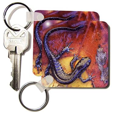 Imagem de 3dRose Quebec. Lagartos de salamandra com manchas azuis-CN10 BJA0023 - Galeria Janyes - Chaveiros, 5,7 x 11,4 cm, conjunto de 2 (kc_73117_1)