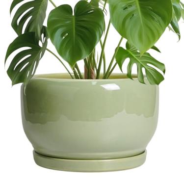 Imagem de SQOWL Vaso de plantas de 25 cm - Vaso de cerâmica com orifício de drenagem e pires, vaso decorativo para plantas internas e externas, vaso de flores grande redondo, verde