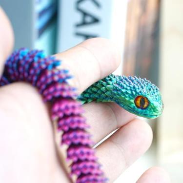 Imagem de Cobra impressa em 3D, brinquedos fidget , animais misteriosos articulados flexíveis, presente surpresa para festivais, decoração de estatuetas domésticas, decorações de mesa executiva (RGB)