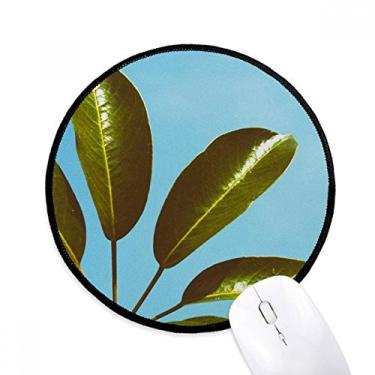Imagem de DIYthinker Blue Sky Leaf Planta Imagem Natureza Mouse Pad Desktop Escritório Tapete Redondo para Computador