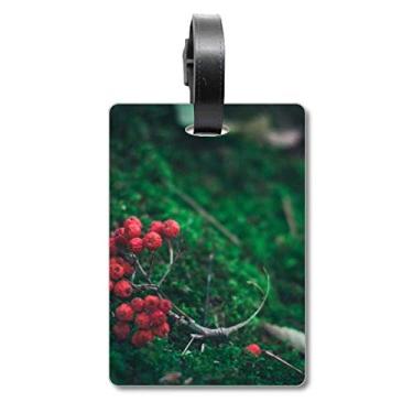 Imagem de Frutas vermelhas Florestais Ciência Cenário Natureza Bagagem Etiqueta Cartão de Bagagem Scutcheon Etiqueta