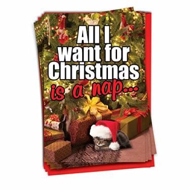 Imagem de NW-Xmas-Peti2, Boxed Box Of Cat Nap Christmas Cards B1124, 12 Christmas Card Pack (SKU:B1124)
