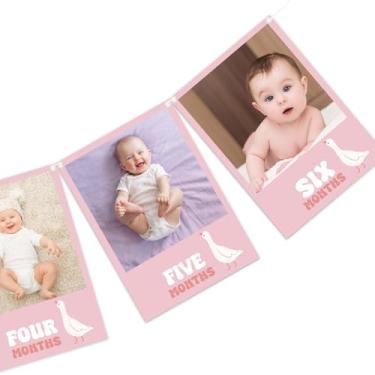 Imagem de JarThenaAMCS Banners fotográficos Silly Goose Faixa suspensa mensal para recém-nascidos até 12 meses, guirlanda de exibição de imagem para meninas, decoração de 1º aniversário