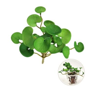 Imagem de Suculenta Peperomia Verde 13Cm Folhagem Artificial