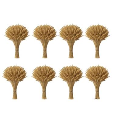Imagem de 400 Hastes De Trigo Seco Para Decoração Festa Enfeites Artigos Mesa Arranjo Elegante, Wedding Venues & Home Altars, Long-Lasting Beauty Without Care(08 Maços (320 Hastes))