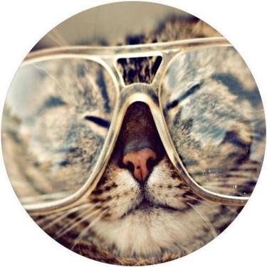 Imagem de Capa De Estepe Ecosport Aircross Gato De Oculos