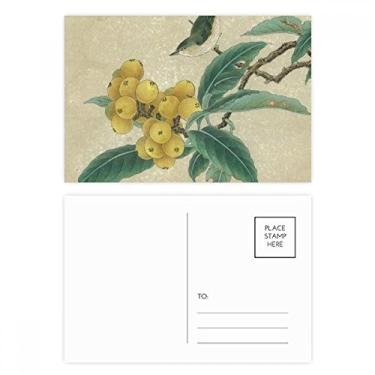 Imagem de Loquat — Conjunto de cartão postal de pintura chinesa com pena bordada, cartão de felicitações de aniversário