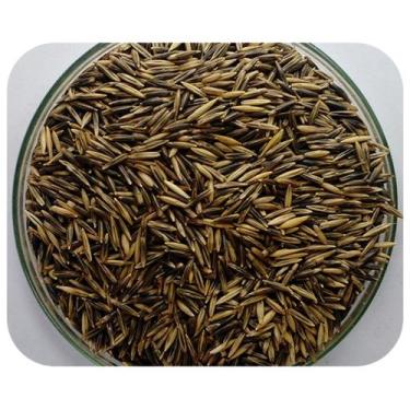 Imagem de Sementes de Aveia Preta / Avena Strigosa - 20 kg De Sementes