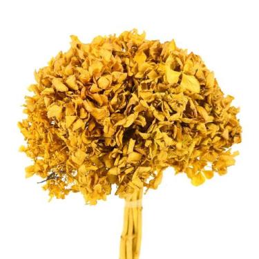 Imagem de Hortência Amarela Desidratado - Pense Flores