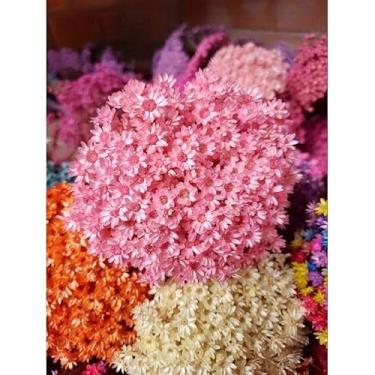Imagem de Flores Sempre Viva Secas para Decoração – Kit 300 a 2100 Unidades Ideal para Festa Casamento e Arranjos (Rosê,3 buquês)
