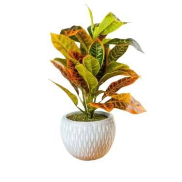 Imagem de Vasos Cachepot Decorativos com Plantas Artificiais Realistas para Sala Quarto Escritório(1)