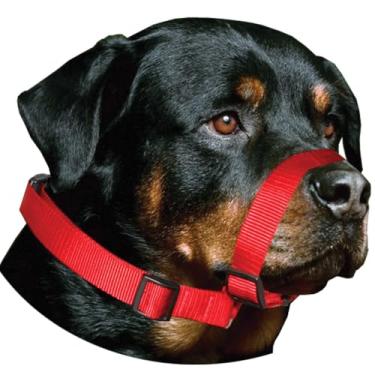 Imagem de Focinheira AMF Para Cães Passeio Ajustável