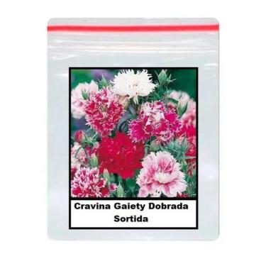 Imagem de Sementes de Cravina Gaiety Dobrada Sortida 100 unidades - ISLA