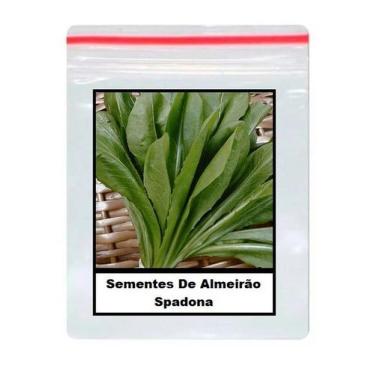 Imagem de Sementes De Almeirão Spadona 100 unidades - GDEZ