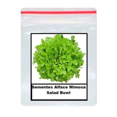 Imagem de Sementes De alface mimosa salad bowl 100 unidades - GDEZ