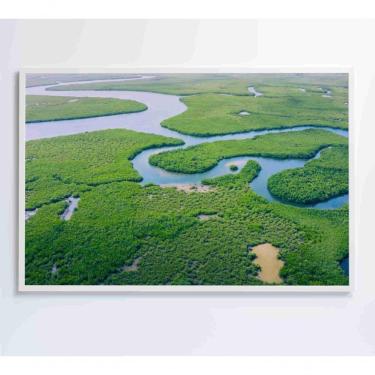 Imagem de Quadro Rios E Floresta Amazônia 60x40 Cm Adesivo Fotográfico